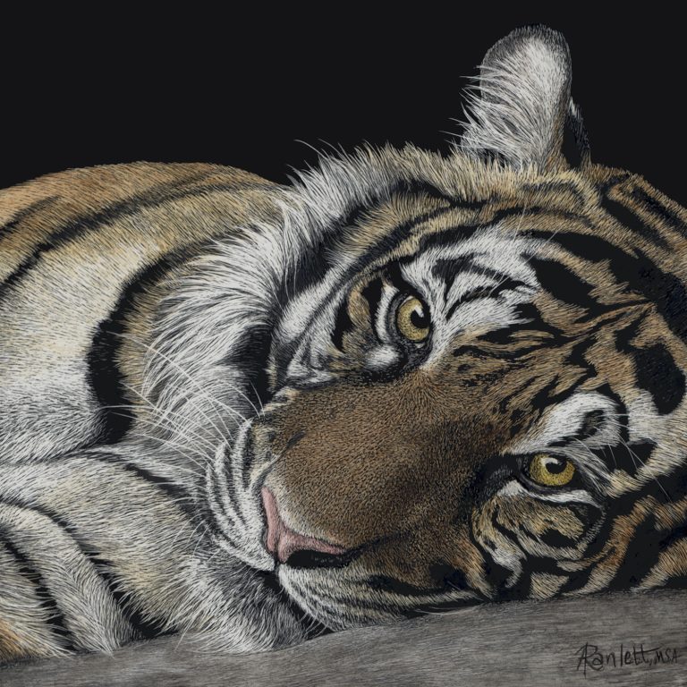 RanlettBahagia 768x768