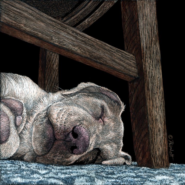 Ranlett Ann GUIDE 768x767